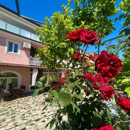 Apartments Tereza Novigrad  Екстер'єр фото