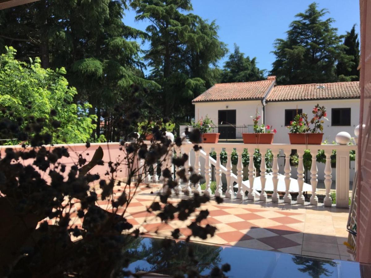 Apartments Tereza Novigrad  Екстер'єр фото