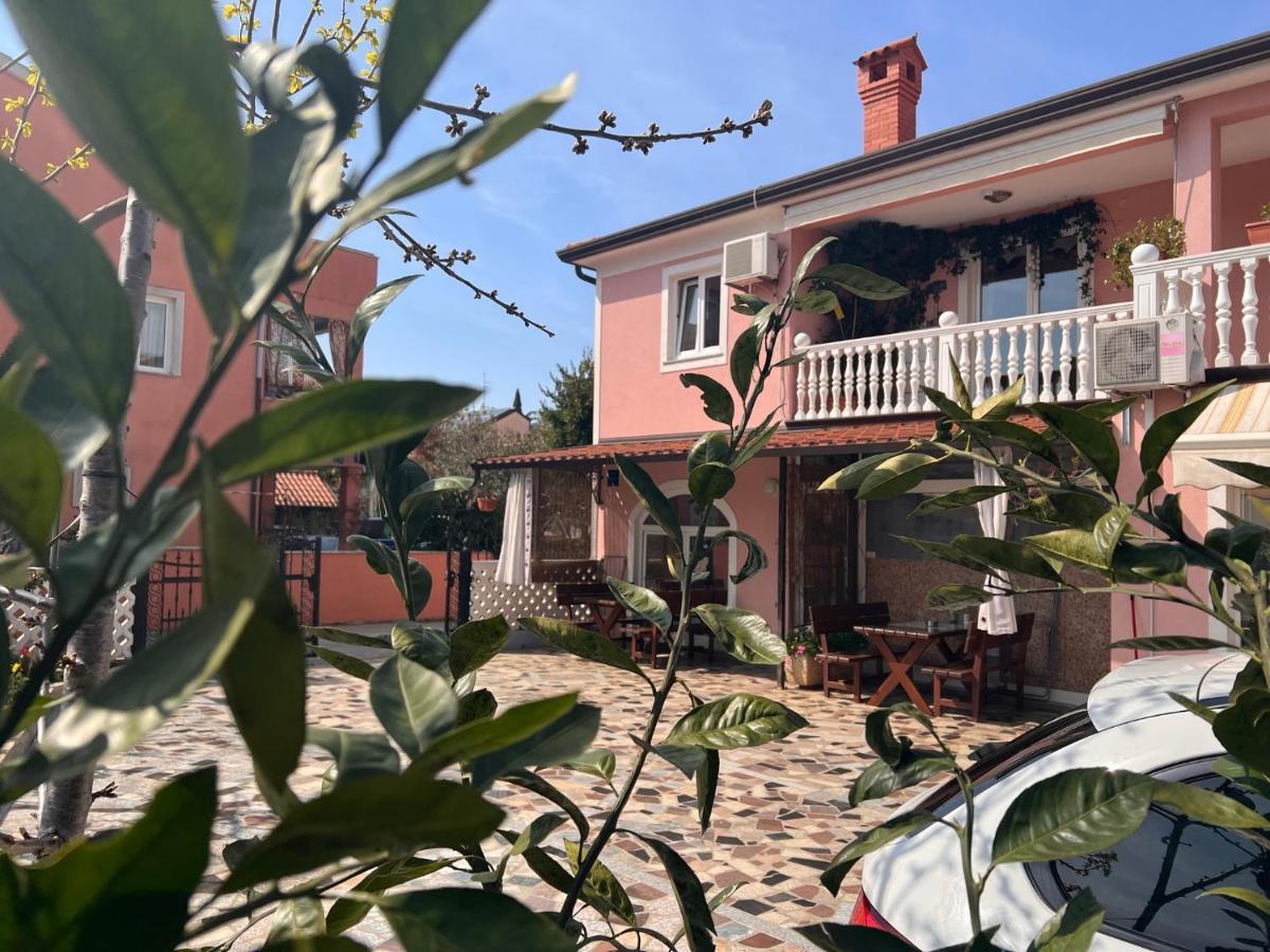 Apartments Tereza Novigrad  Екстер'єр фото