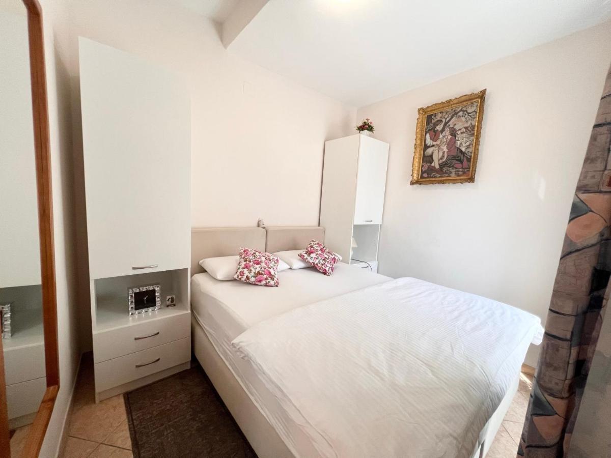 Apartments Tereza Novigrad  Екстер'єр фото