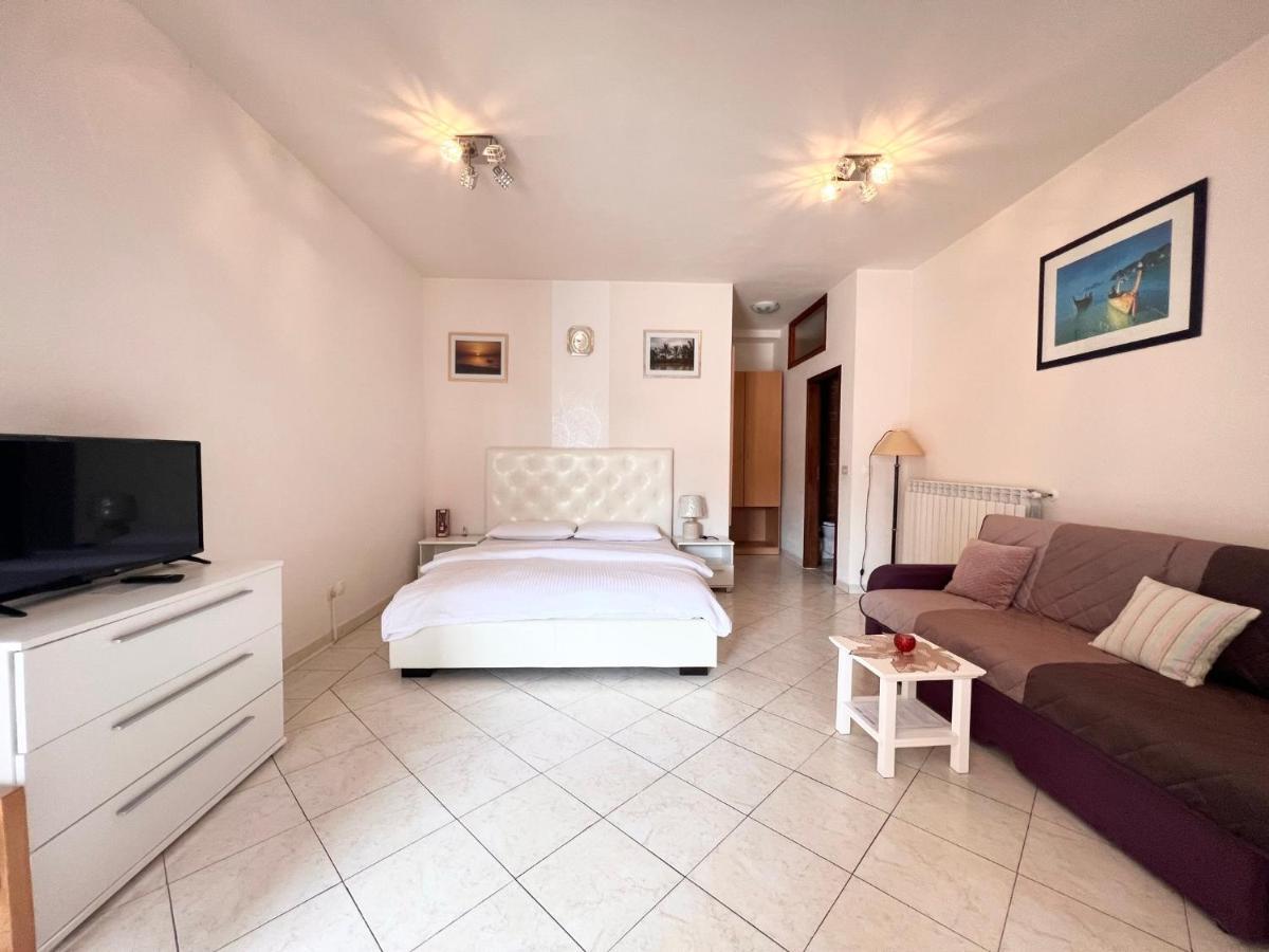 Apartments Tereza Novigrad  Екстер'єр фото