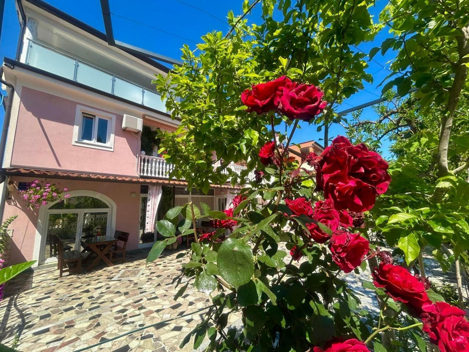Apartments Tereza Novigrad  Екстер'єр фото